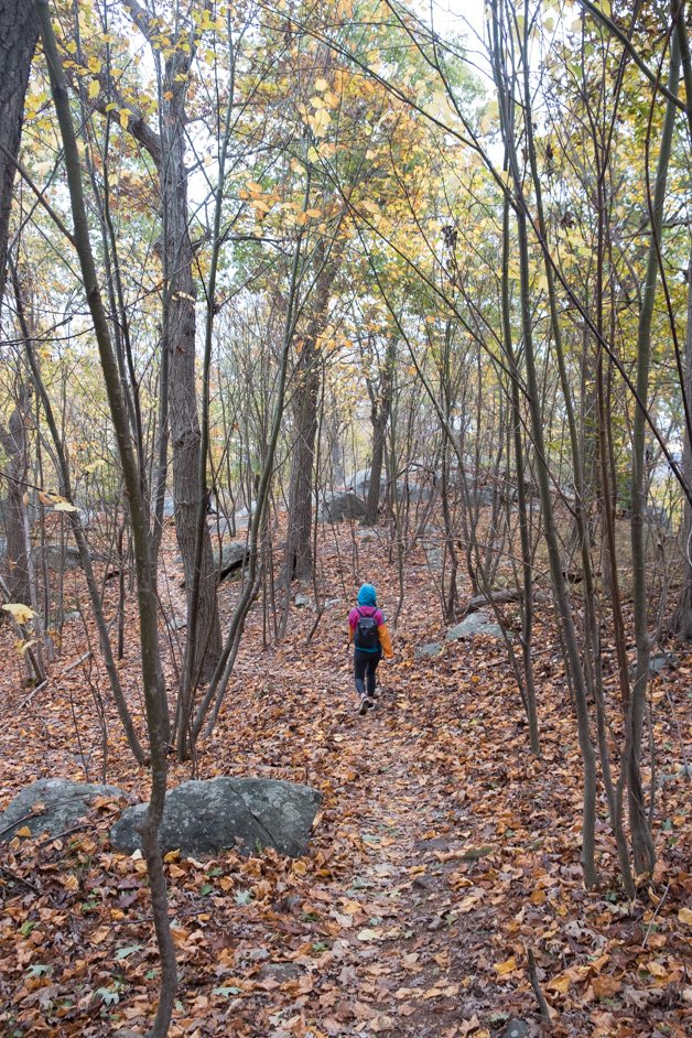 Storm King Mountain Loop Trail Hiking Review
