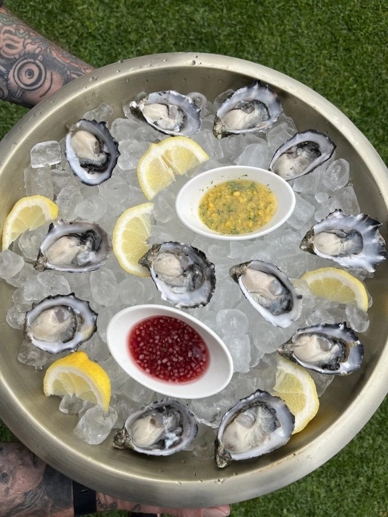 Shucks & Nibs Perth Oyster Shucker Perth oyster shucker we have