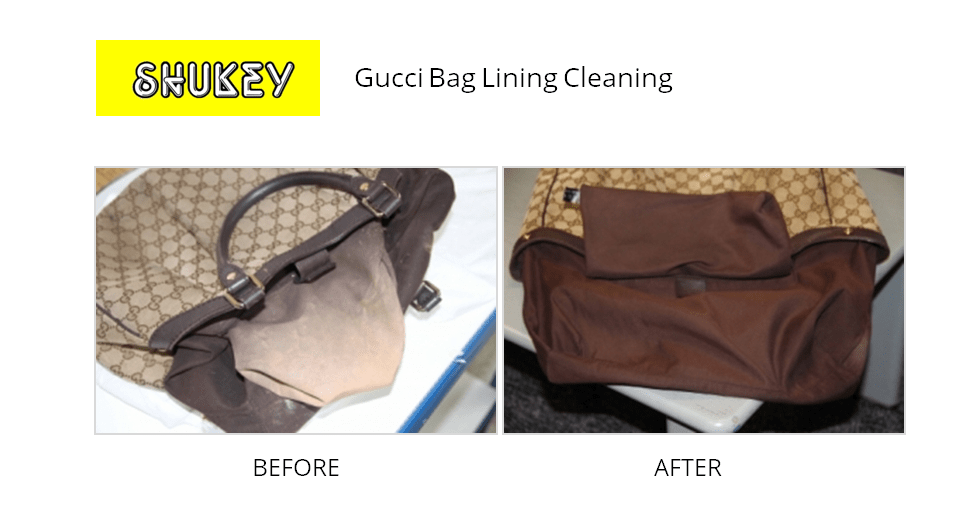 Gucci Handbag Replacement Parts IUCN Water