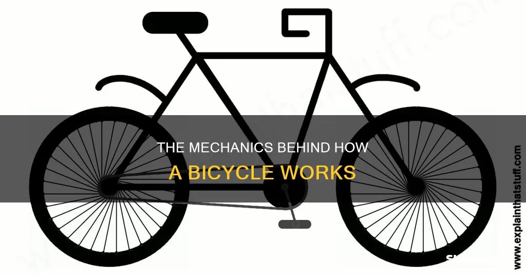 The Mechanics Behind How A Bicycle Works ShunAuto