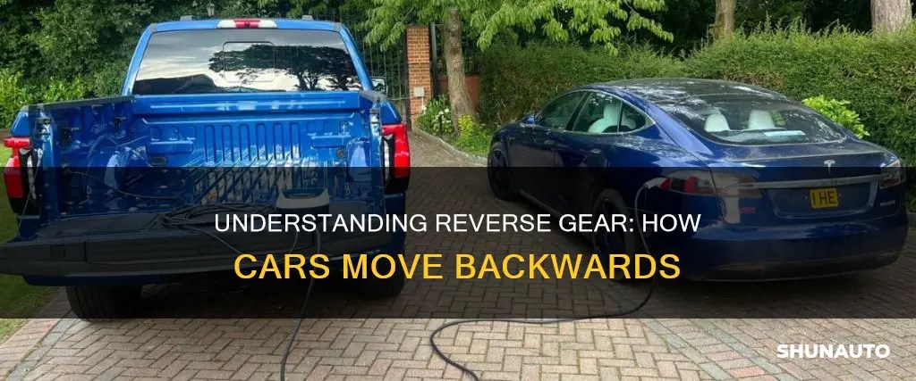 Understanding Reverse Gear How Cars Move Backwards ShunAuto