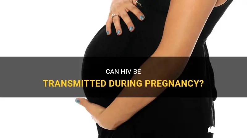 Can Hiv Be Transmitted During Pregnancy? ShunChild