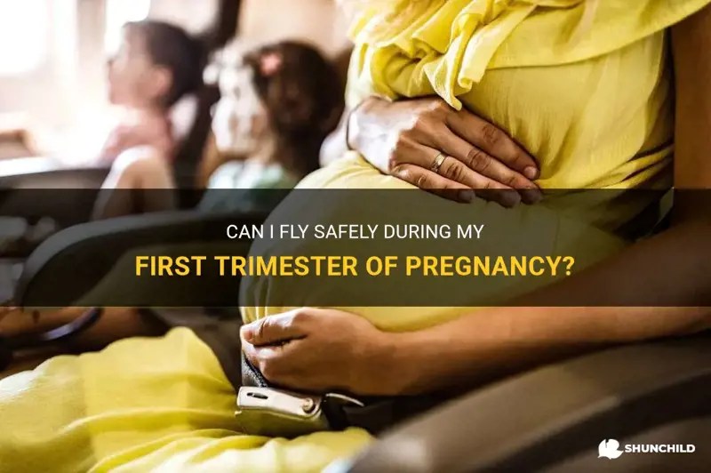Can I Fly Safely During My First Trimester Of Pregnancy? ShunChild
