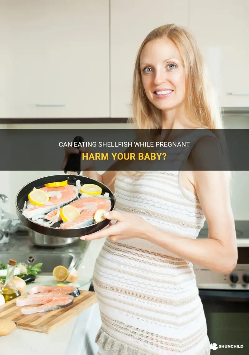 Can Eating Shellfish While Pregnant Harm Your Baby? ShunChild