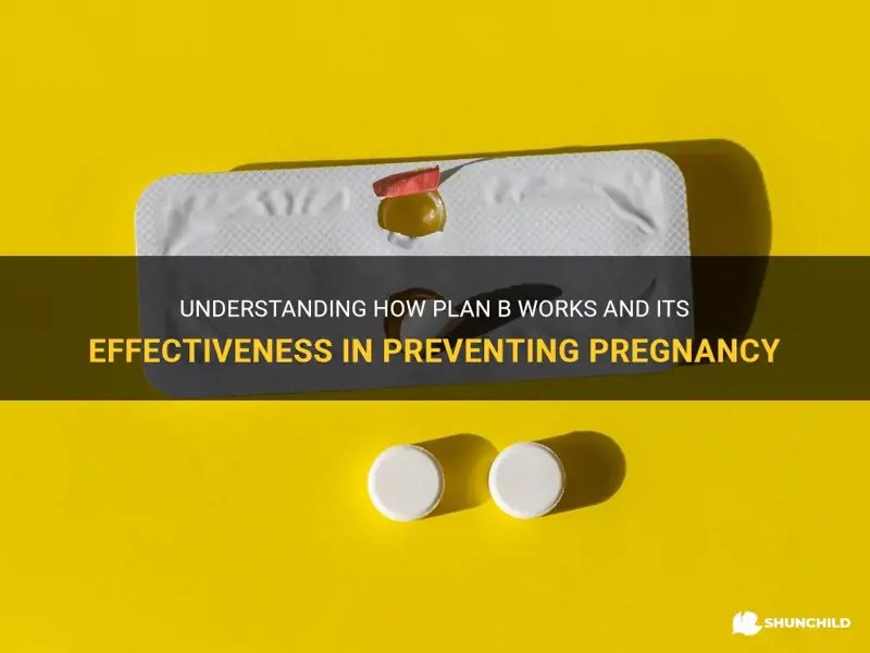 Understanding How Plan B Works And Its Effectiveness In Preventing
