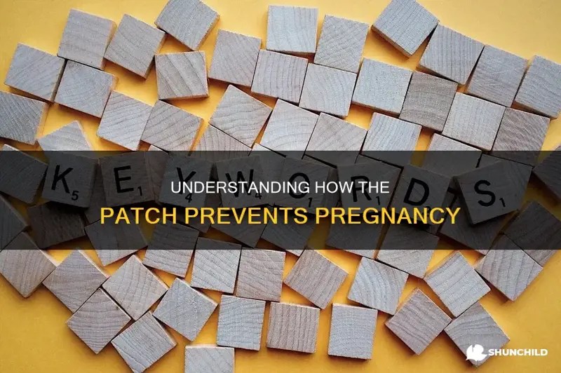 Understanding How The Patch Prevents Pregnancy ShunChild