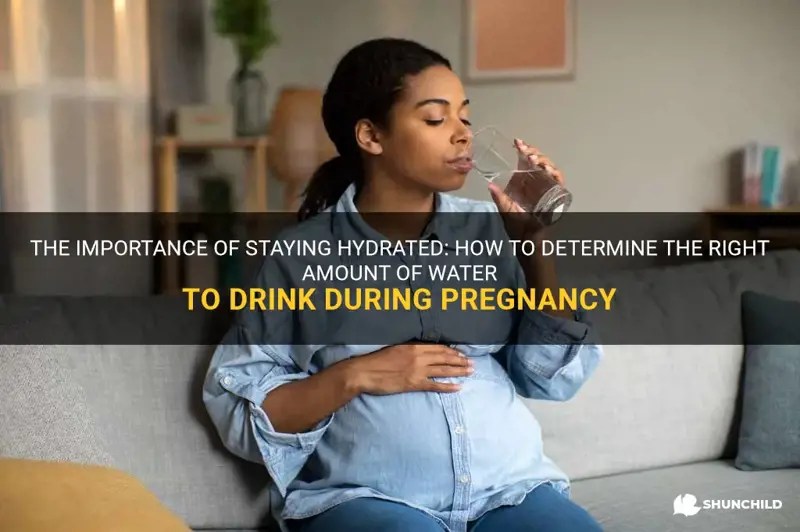 The Importance Of Staying Hydrated How To Determine The Right Amount