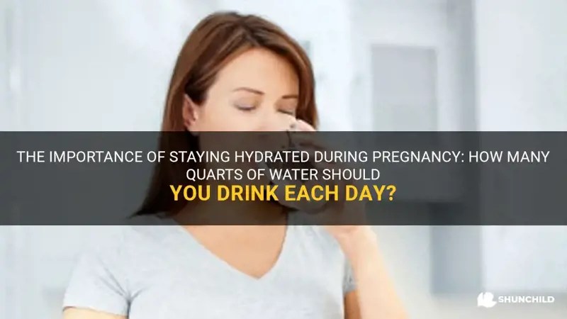 The Importance Of Staying Hydrated During Pregnancy How Many Quarts Of