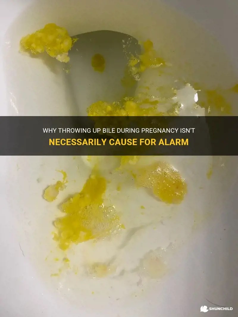Why Throwing Up Bile During Pregnancy Isn't Necessarily Cause For Alarm