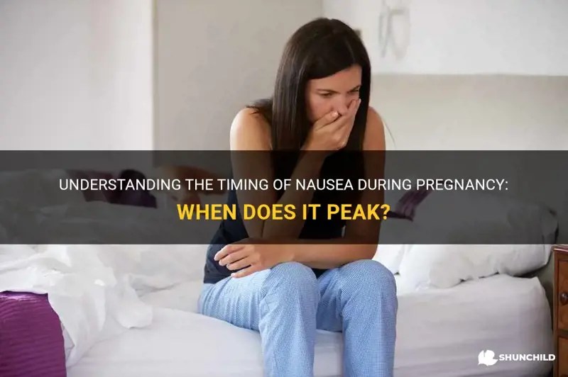 Understanding The Timing Of Nausea During Pregnancy When Does It Peak