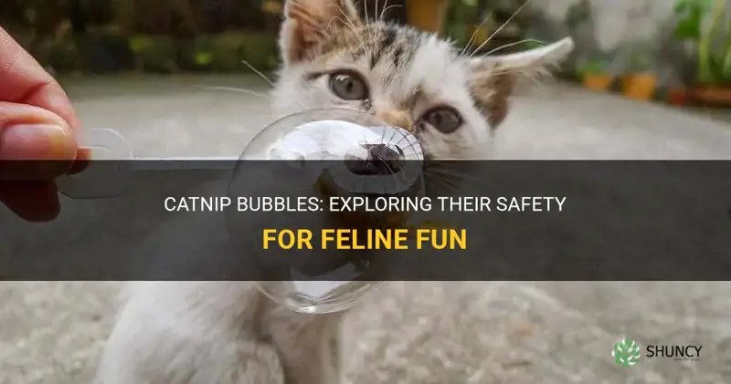 Catnip Bubbles Exploring Their Safety For Feline Fun ShunCy
