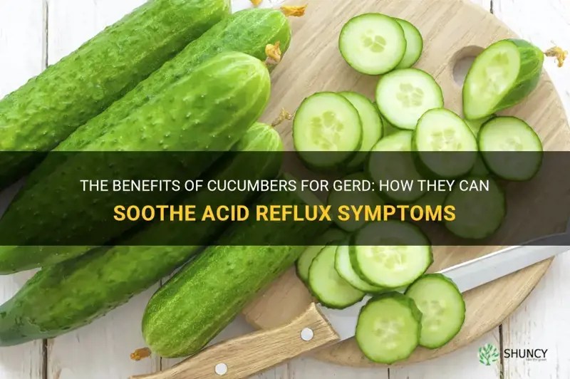 The Benefits Of Cucumbers For Gerd How They Can Soothe Acid Reflux