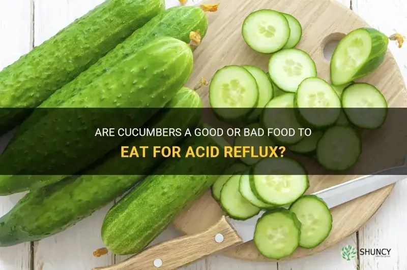 Are Cucumbers A Good Or Bad Food To Eat For Acid Reflux? ShunCy