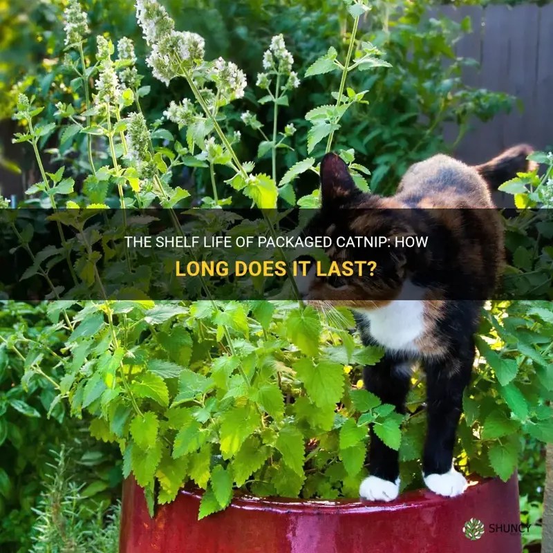The Shelf Life Of Packaged Catnip How Long Does It Last? ShunCy
