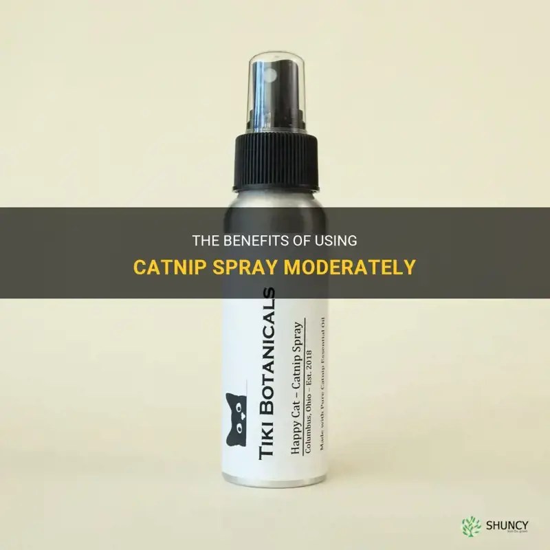 The Benefits Of Using Catnip Spray Moderately ShunCy