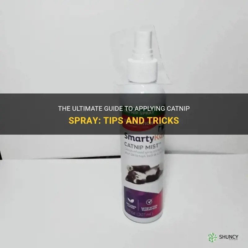 The Ultimate Guide To Applying Catnip Spray Tips And Tricks ShunCy