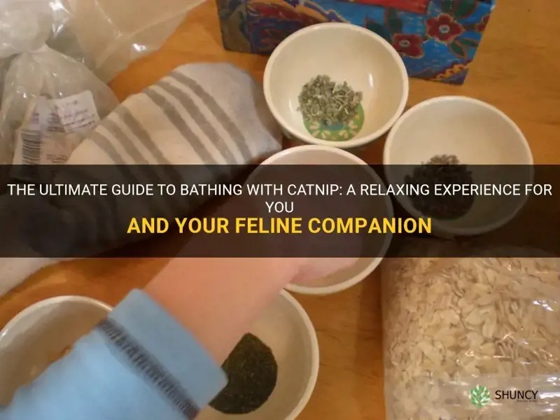 The Ultimate Guide To Bathing With Catnip A Relaxing Experience For