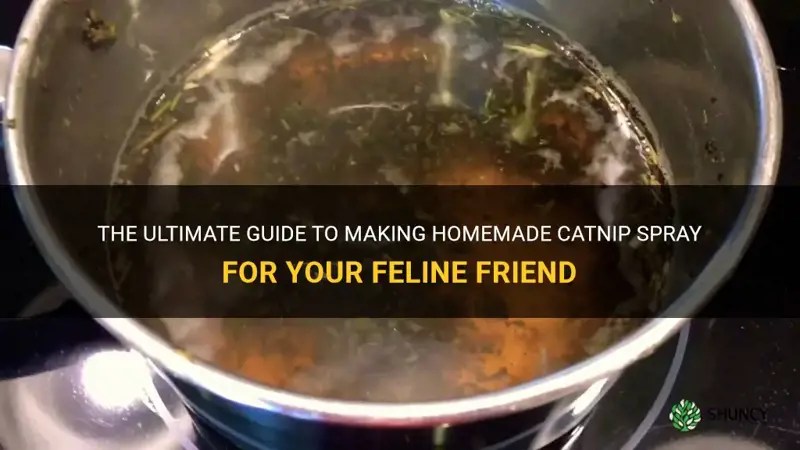 The Ultimate Guide To Making Homemade Catnip Spray For Your Feline