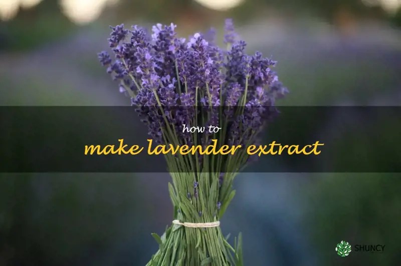 The Simplest Way To Make Your Own Lavender Extract At Home ShunCy