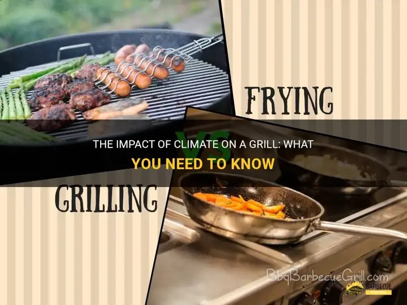The Impact Of Climate On A Grill What You Need To Know ShunGrill