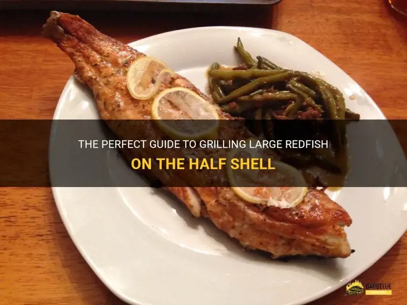 The Perfect Guide To Grilling Large Redfish On The Half Shell ShunGrill