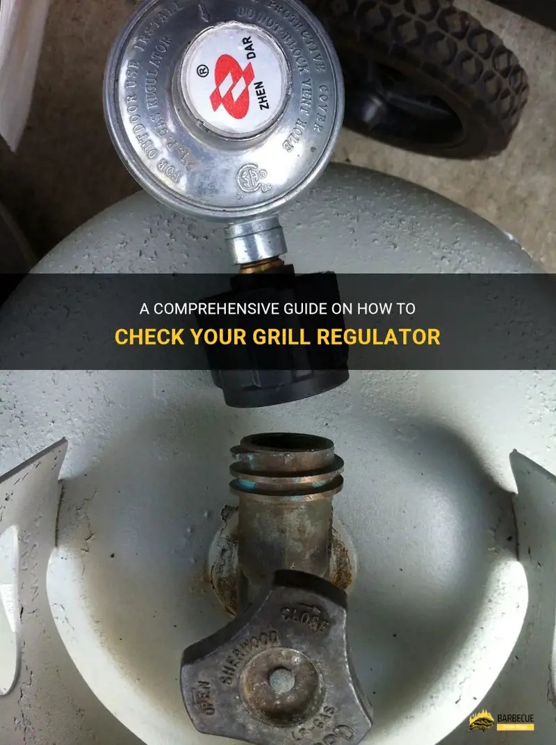 A Comprehensive Guide On How To Check Your Grill Regulator ShunGrill