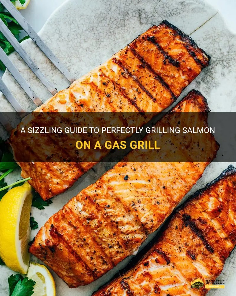 A Sizzling Guide To Perfectly Grilling Salmon On A Gas Grill ShunGrill