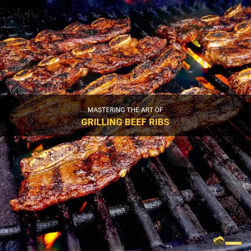 Mastering The Art Of Grilling Beef Ribs ShunGrill