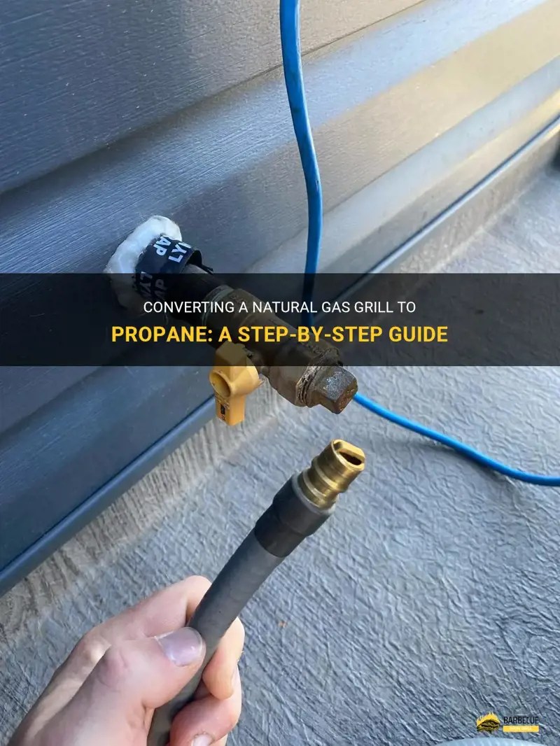 Converting A Natural Gas Grill To Propane A StepByStep Guide ShunGrill