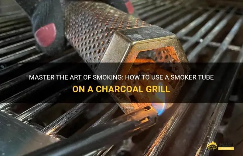 Master The Art Of Smoking How To Use A Smoker Tube On A Charcoal Grill
