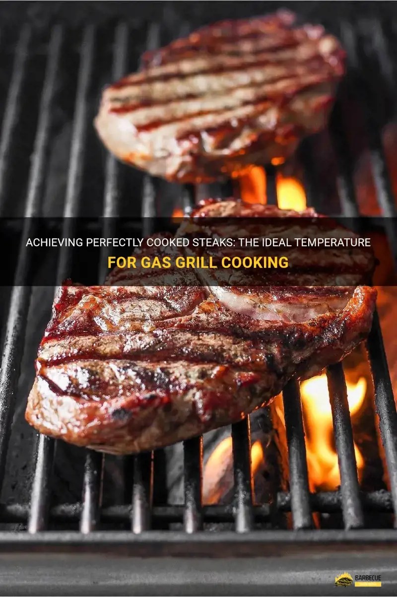 Achieving Perfectly Cooked Steaks The Ideal Temperature For Gas Grill