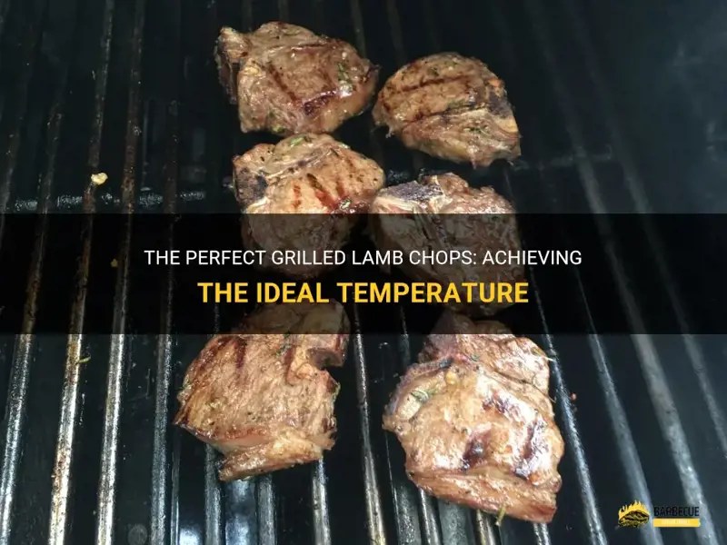 The Perfect Grilled Lamb Chops Achieving The Ideal Temperature ShunGrill