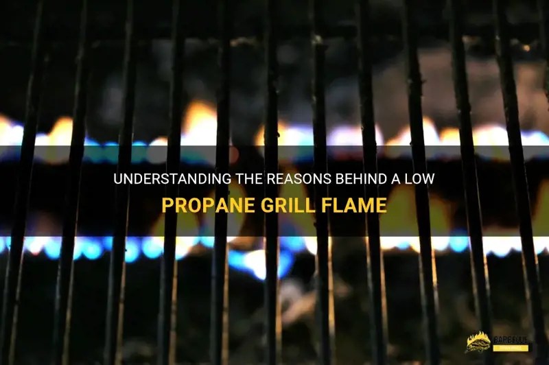 Understanding The Reasons Behind A Low Propane Grill Flame ShunGrill