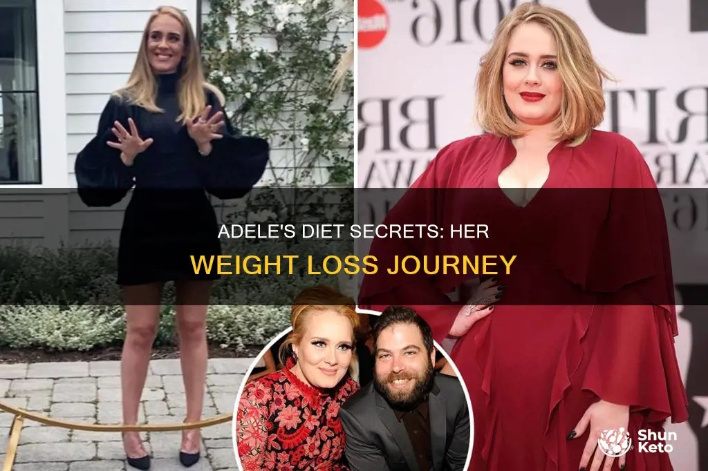 Adele's Diet Secrets Her Weight Loss Journey ShunKeto