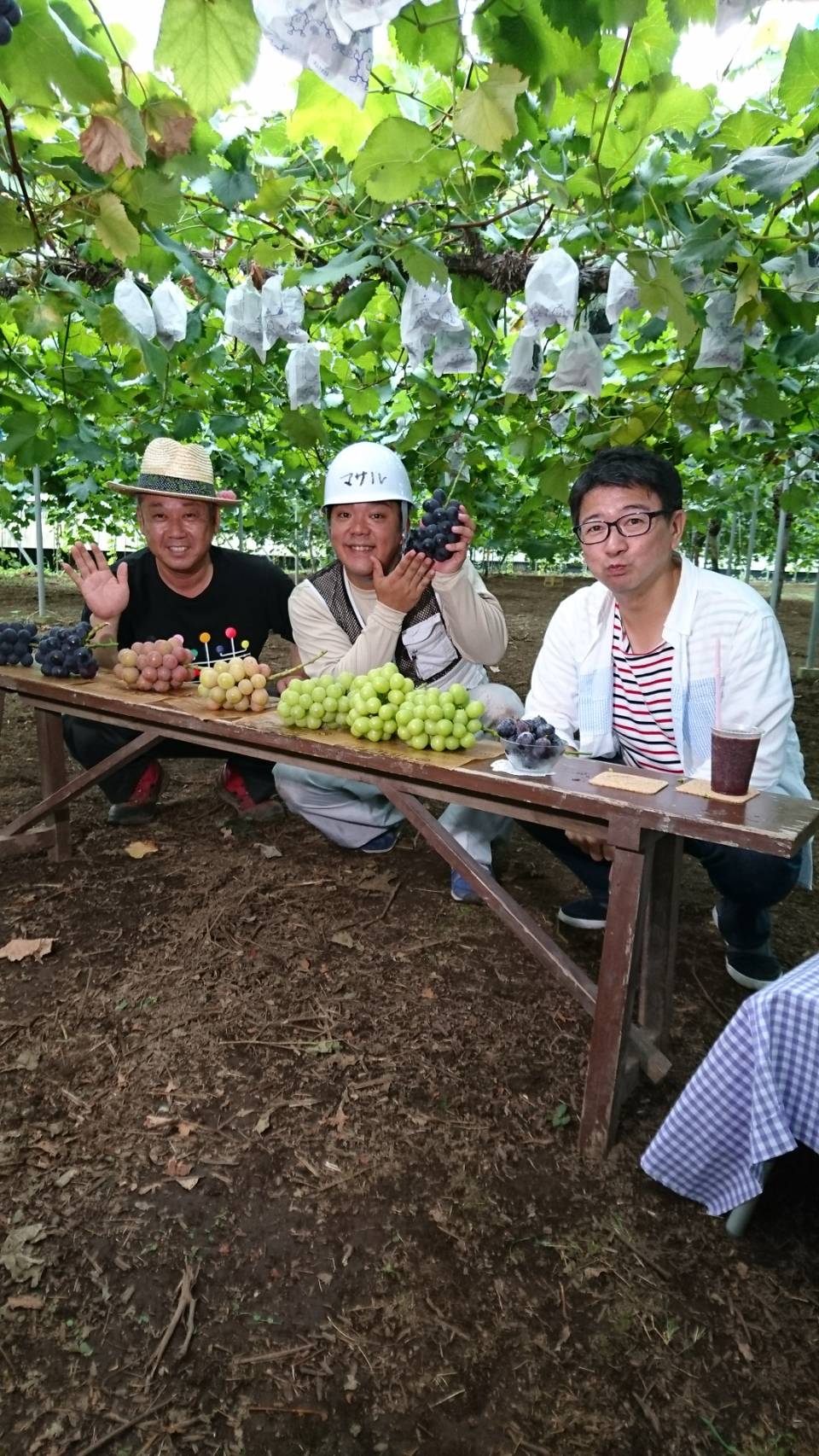 うきは市 春光園 ブドウ狩り ナシ狩り 春光園