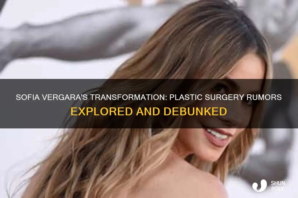 Sofia Vergara's Transformation Plastic Surgery Rumors Explored And