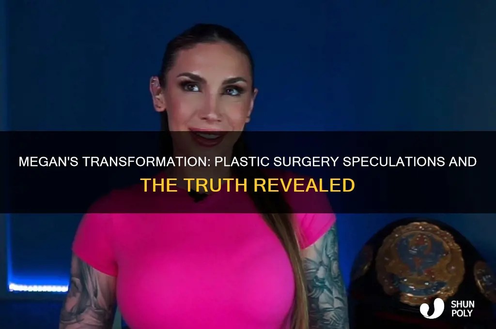Megan's Transformation Plastic Surgery Speculations And The Truth