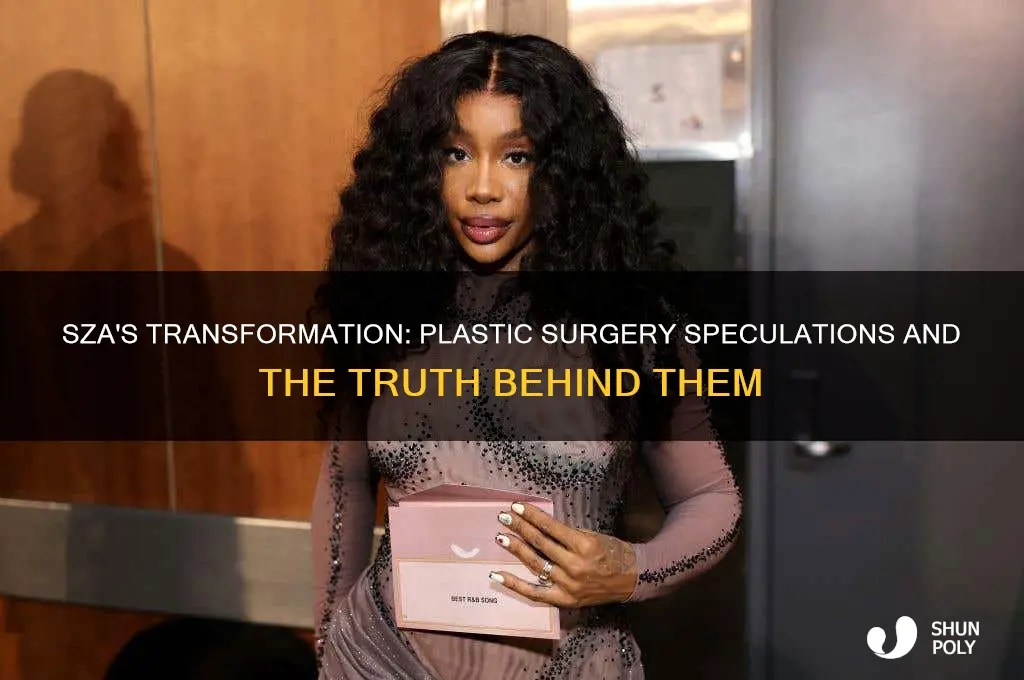 Sza's Transformation Plastic Surgery Speculations And The Truth Behind