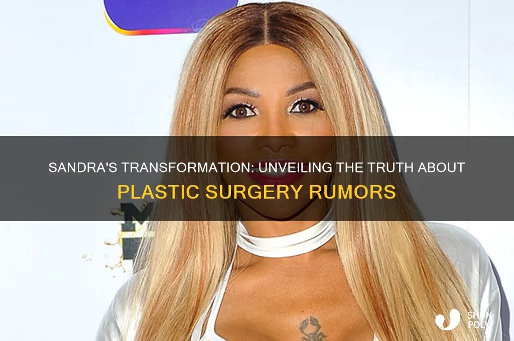 Sandra's Transformation Unveiling The Truth About Plastic Surgery