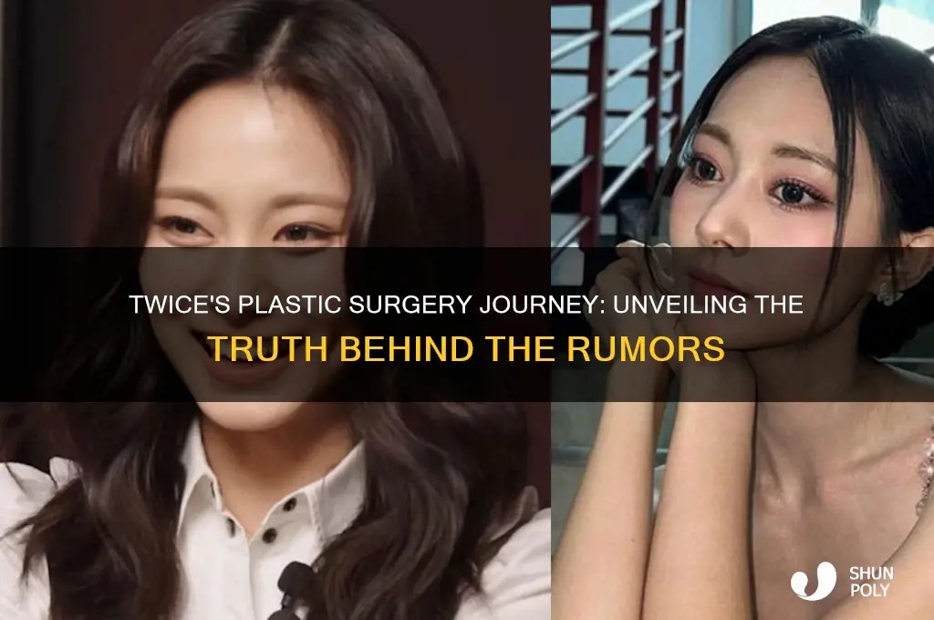 Twice's Plastic Surgery Journey Unveiling The Truth Behind The Rumors