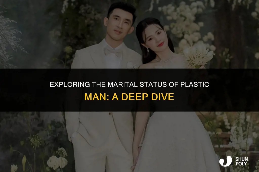 Exploring The Marital Status Of Plastic Man A Deep Dive Shunpoly