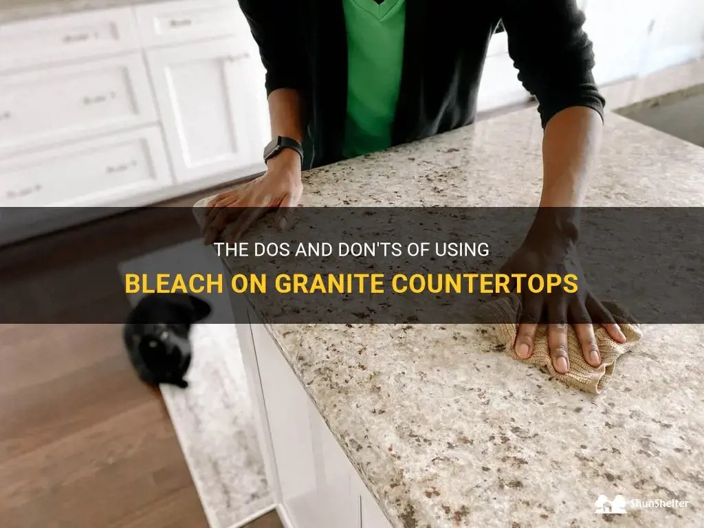 The Dos And Don'ts Of Using Bleach On Granite Countertops ShunShelter