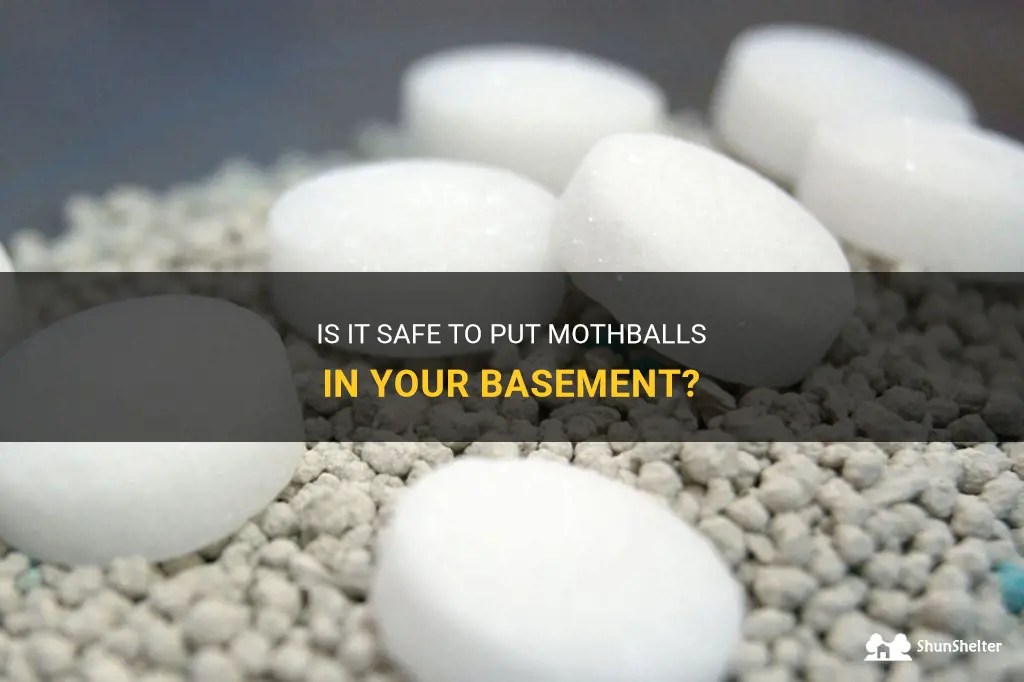 Is It Safe To Put Mothballs In Your Basement? ShunShelter