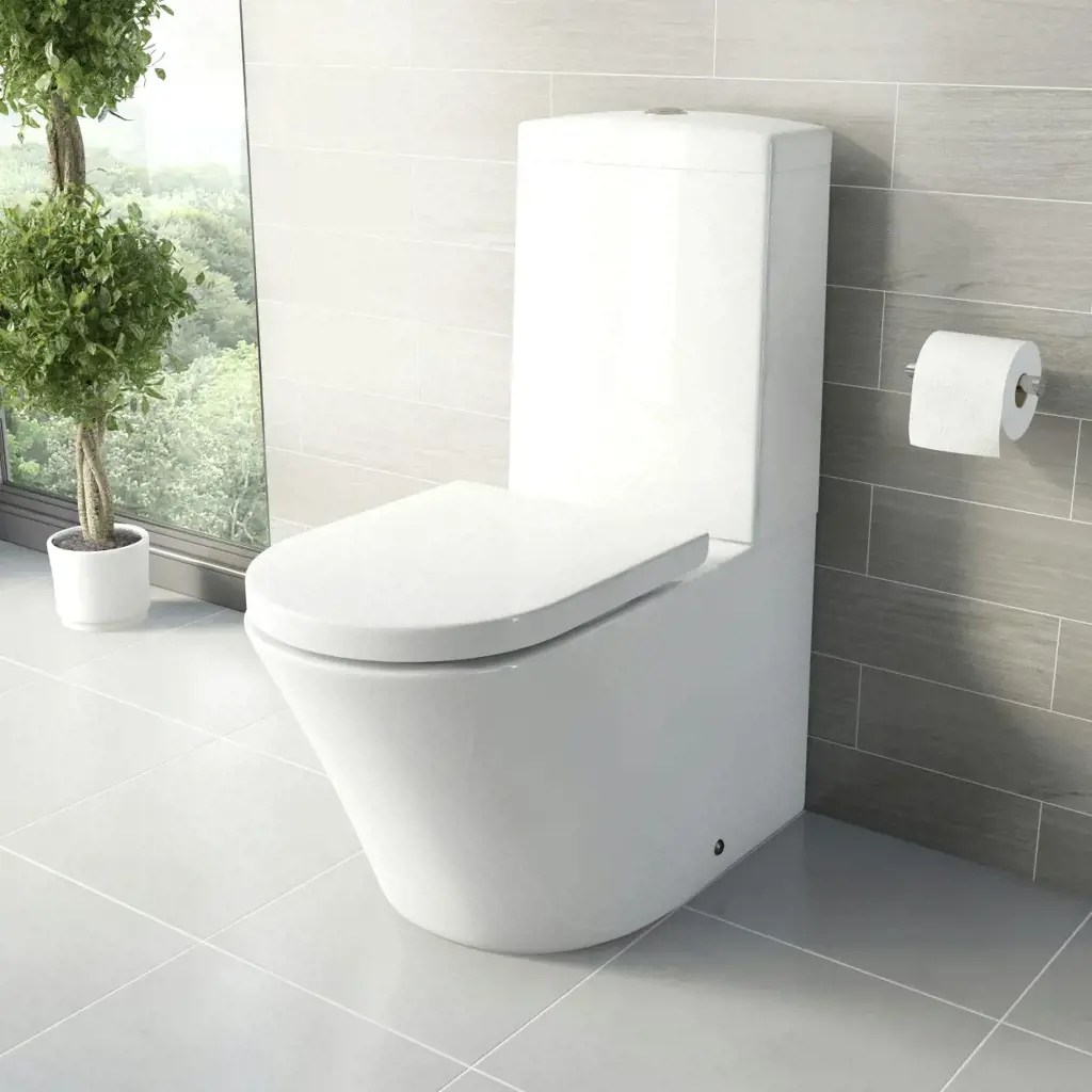 Uncovering The Origins Why Is A Bathroom Called A Loo? ShunShelter