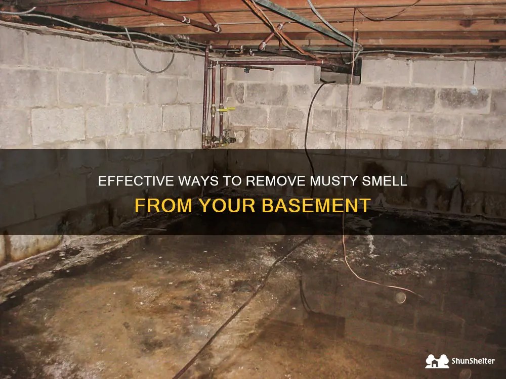 Effective Ways To Remove Musty Smell From Your Basement ShunShelter