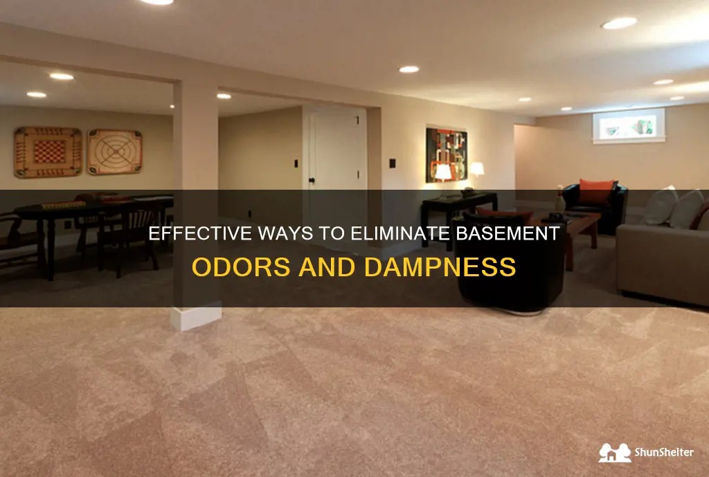 Effective Ways To Eliminate Basement Odors And Dampness ShunShelter