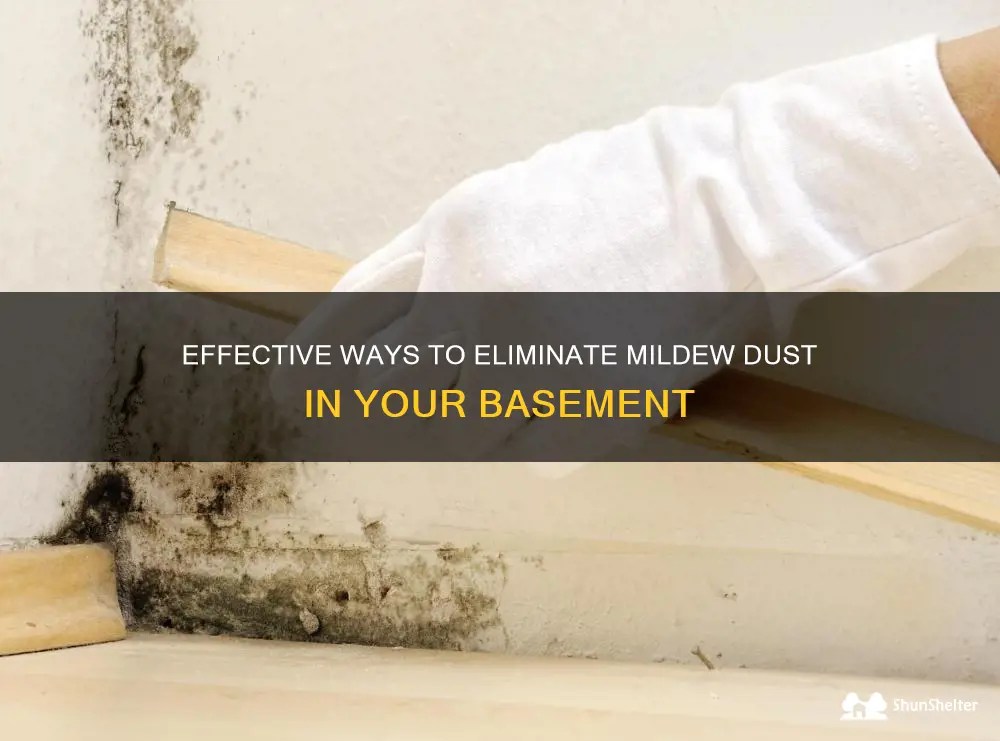 Effective Ways To Eliminate Mildew Dust In Your Basement ShunShelter