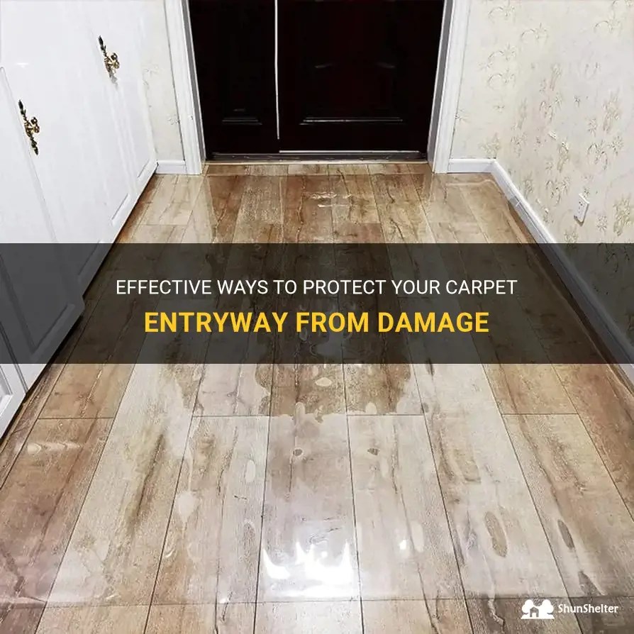 Effective Ways To Protect Your Carpet Entryway From Damage ShunShelter