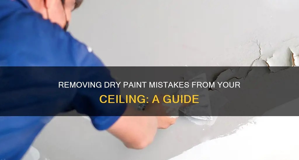 Removing Dry Paint Mistakes From Your Ceiling A Guide ShunShelter