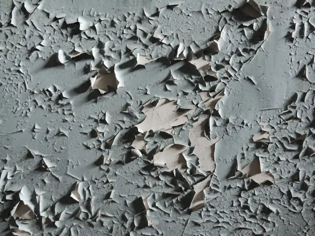 How To Properly Paint Over Peeling Paint In Your Basement ShunShelter